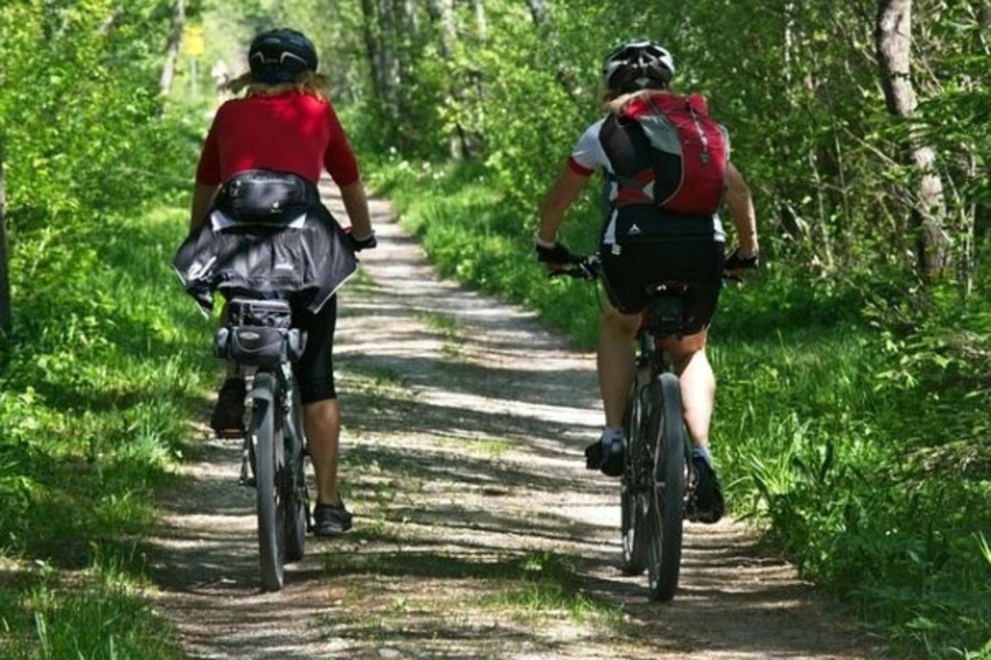 Travel Freiraum Lägenhet Willstätt Exteriör bild